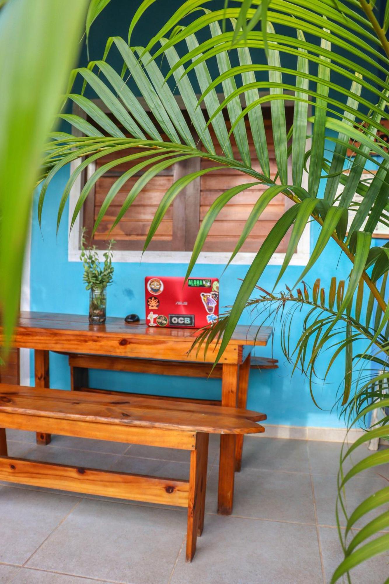Back To The Beach Hostel - Pipa Praia de Pipa Exterior foto